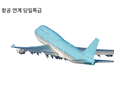 항공 연계 당일특급 - 전화접수만 가능 (1522-6566)